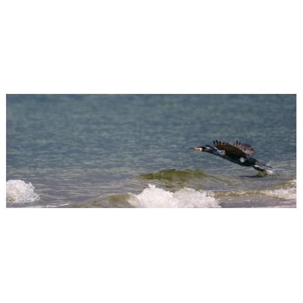 PHOTO84, CLUB, 84 , LUBERON